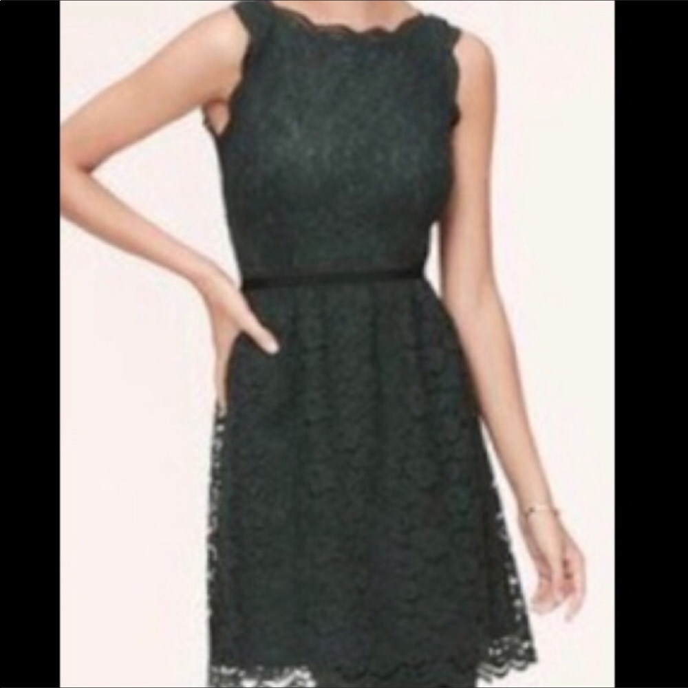 Ann Taylor Loft Dark Green Lace Dress - Picture 2 of 9